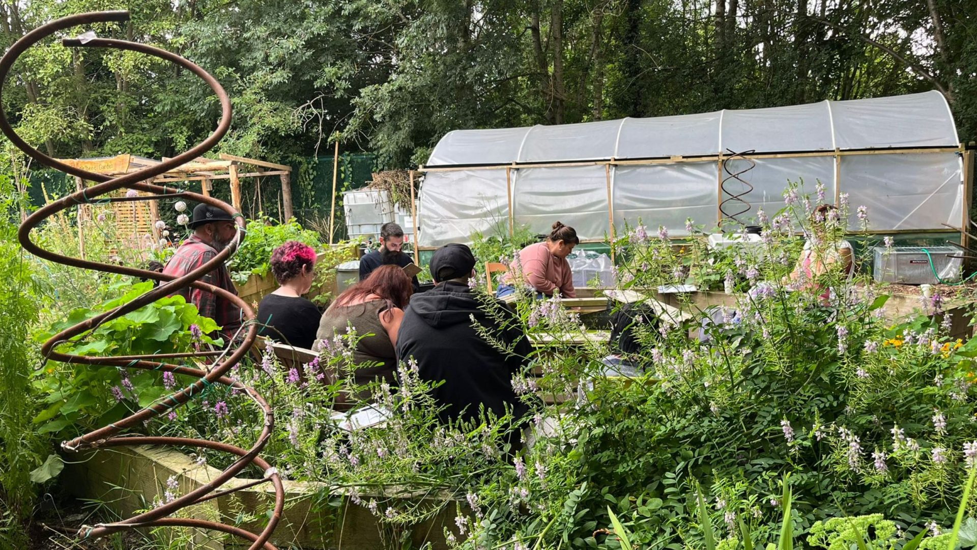 Participants in The Phoniex Project, Brierley Hill are sat amongst a community garden.