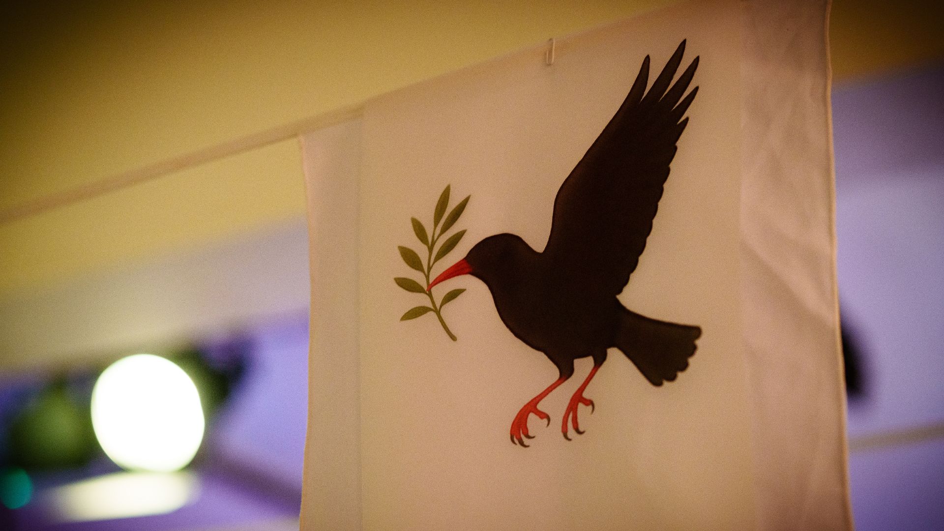 A photo of a banner with a chough holding an olive branch. From West Cornwall to the West Bank by Wildworks.